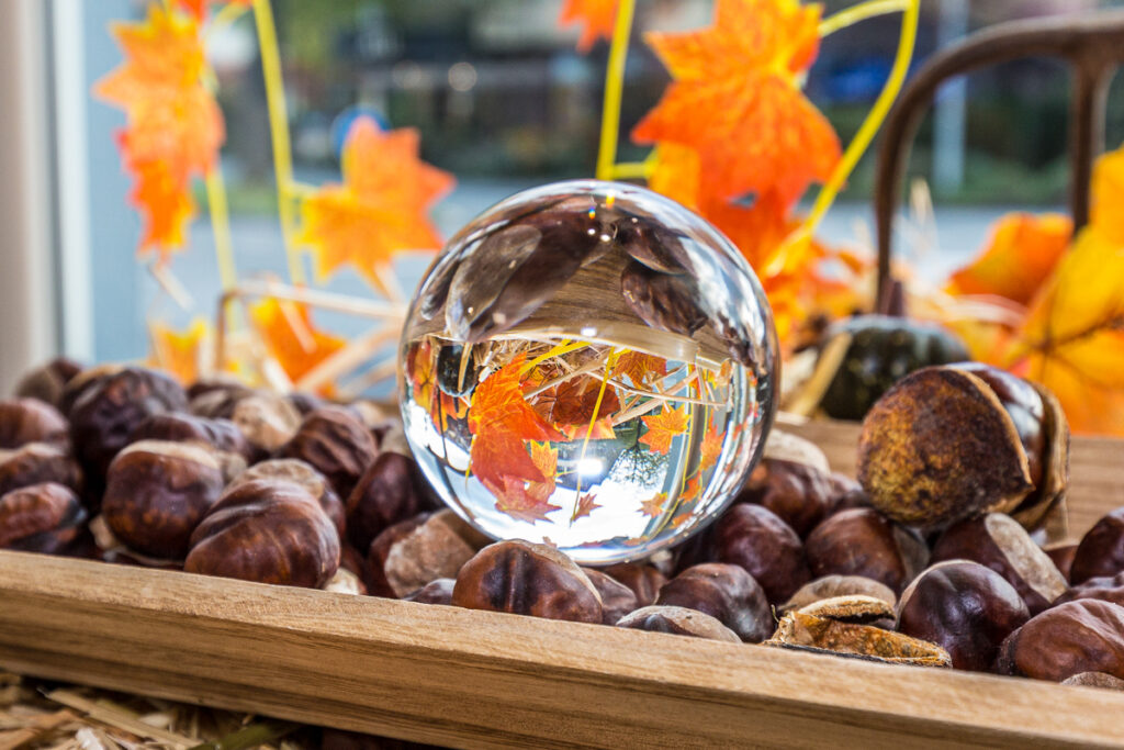 Glaskugel zwischen Kastanien und Herbstlaub
